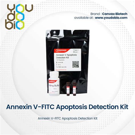 apoptosis assay elisa kit|annexin v fitc pi apoptosis kit.